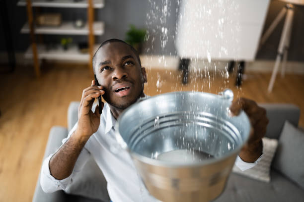 Best 24-hour water damage restoration  in Friday Harbor, WA
