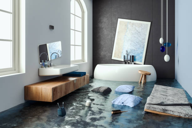 Best Residential water damage restoration  in Friday Harbor, WA