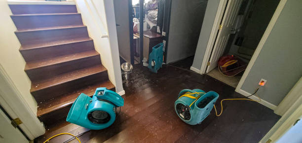 Best Ceiling water damage repair  in Friday Harbor, WA