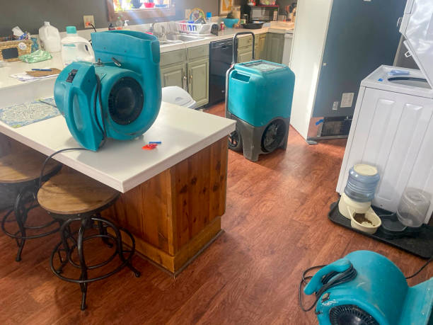Best Fire Damage Restoration  in Friday Harbor, WA
