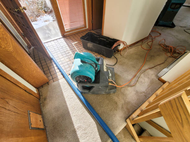 Water damage restoration insurance claims in Friday Harbor, WA