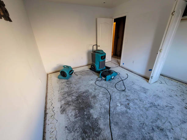  Friday Harbor, WA Water damage restoration Pros