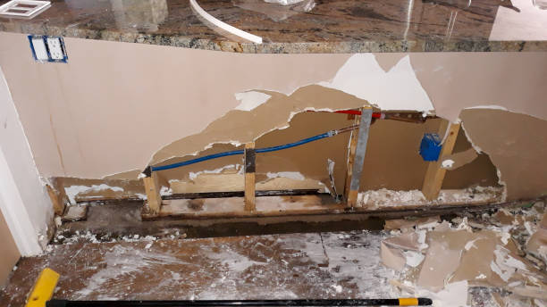 Best Water damage contractors near me  in Friday Harbor, WA