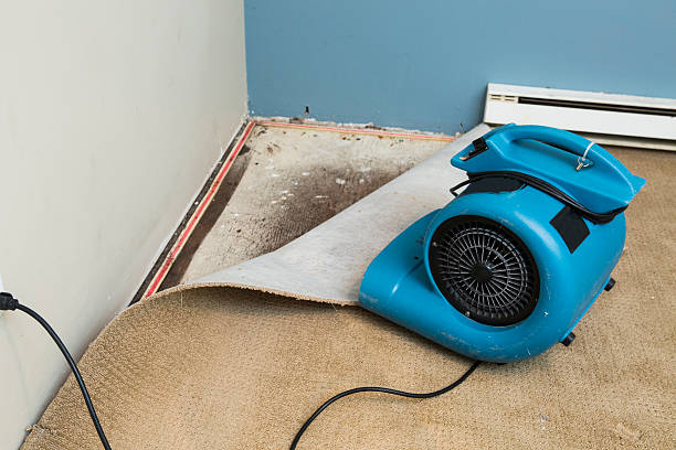 Best Sewage cleanup and water damage restoration  in Friday Harbor, WA